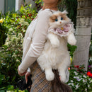 Ragdoll Cat Backpack – Cozy Companion for Travel & School